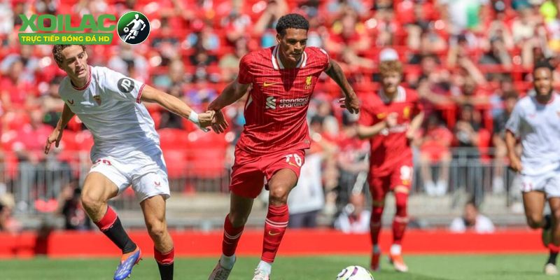 Phong độ thực tại của Brighton vs Leeds United